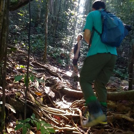 Rainforest River Edge Денияя Екстериор снимка