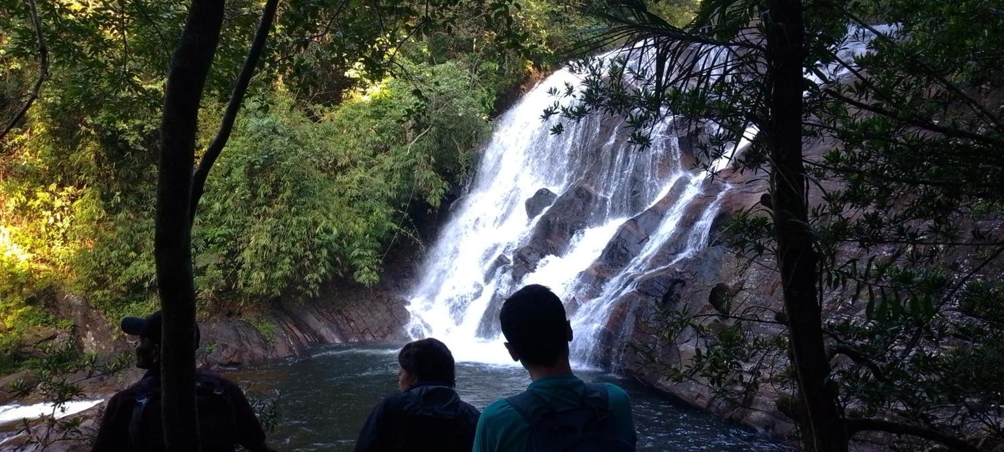 Rainforest River Edge Денияя Екстериор снимка